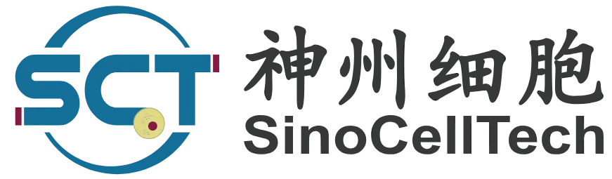 日韩欧美一区二区三区免费观看
