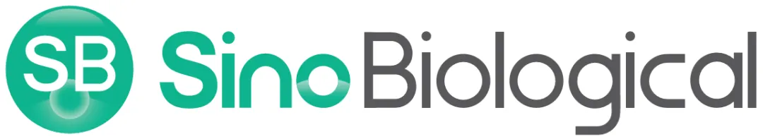 日韩欧美一区二区三区免费观看