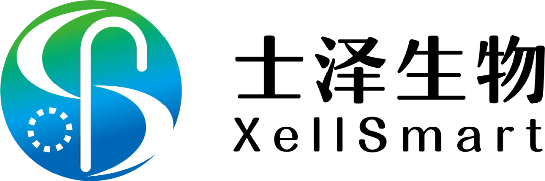 日韩欧美一区二区三区免费观看