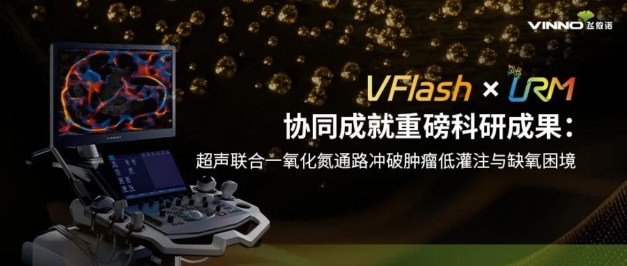 日韩欧美一区二区三区免费观看