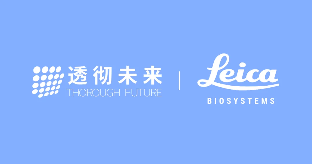 日韩欧美一区二区三区免费观看