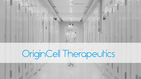 日韩欧美一区二区三区免费观看