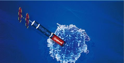 日韩欧美一区二区三区免费观看