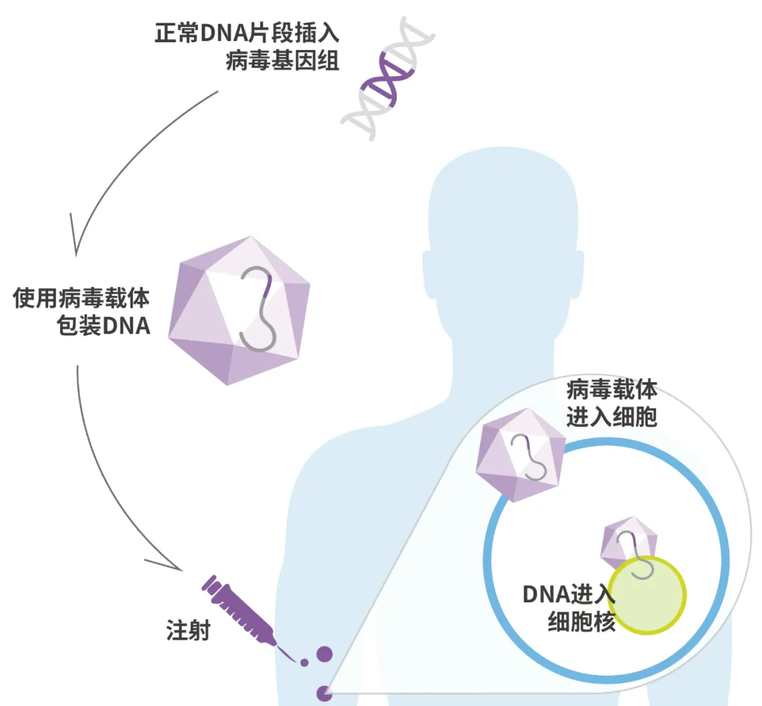 日韩欧美一区二区三区免费观看