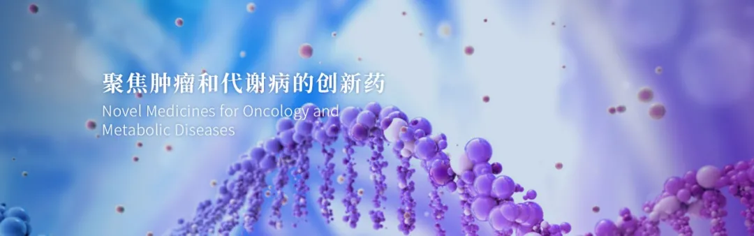 日韩欧美一区二区三区免费观看