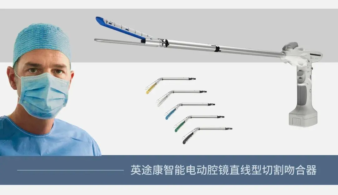 日韩欧美一区二区三区免费观看