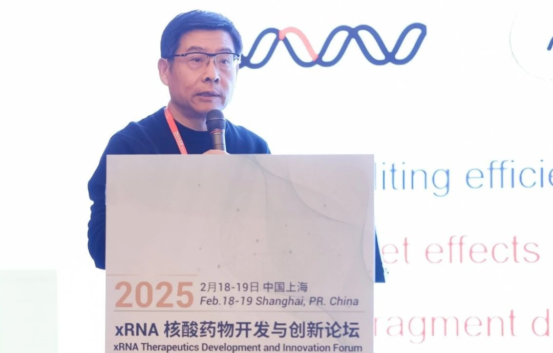 日韩欧美一区二区三区免费观看