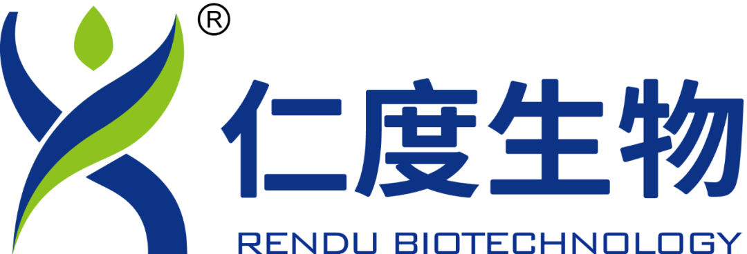 日韩欧美一区二区三区免费观看
