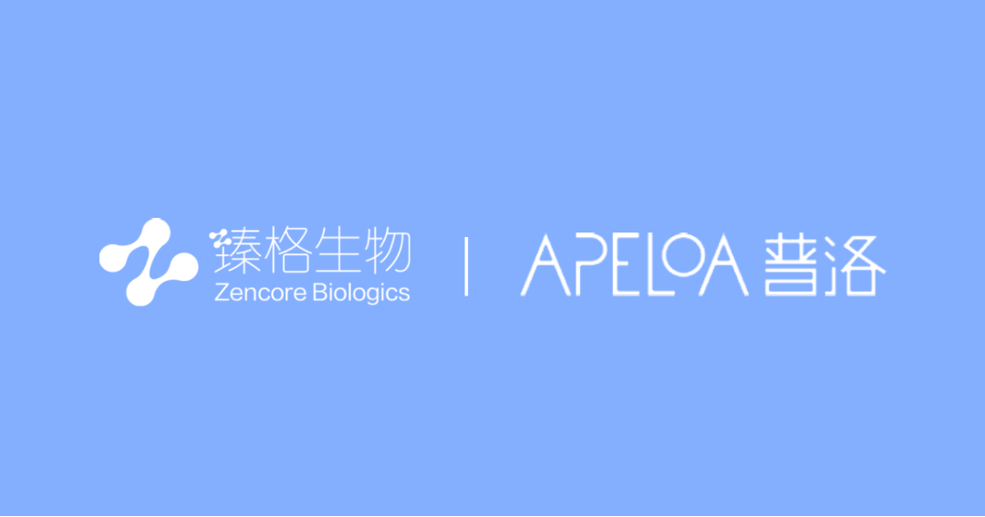 日韩欧美一区二区三区免费观看