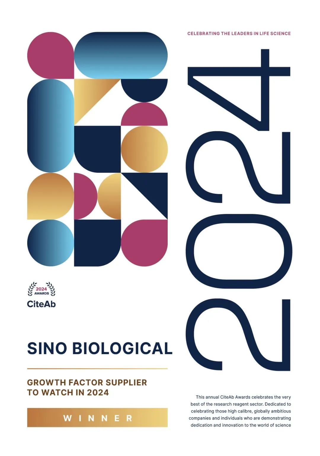 日韩欧美一区二区三区免费观看