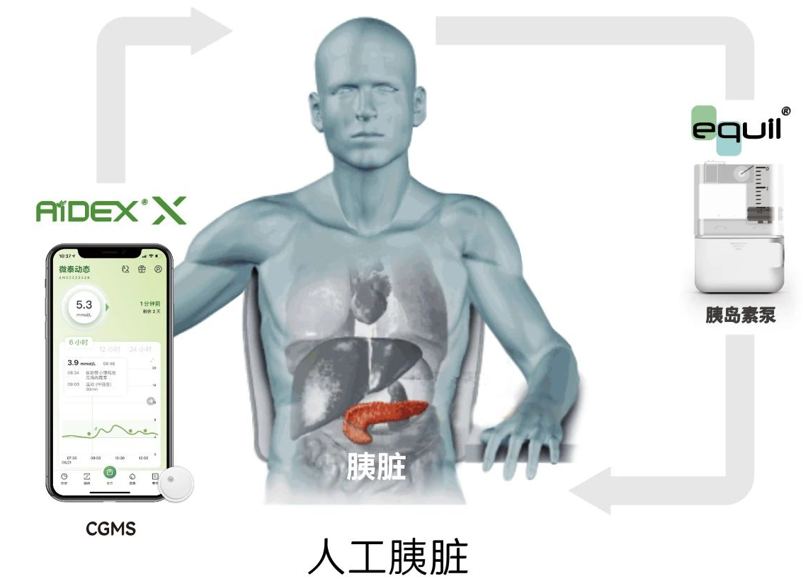 日韩欧美一区二区三区免费观看