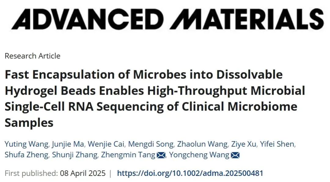 日韩欧美一区二区三区免费观看