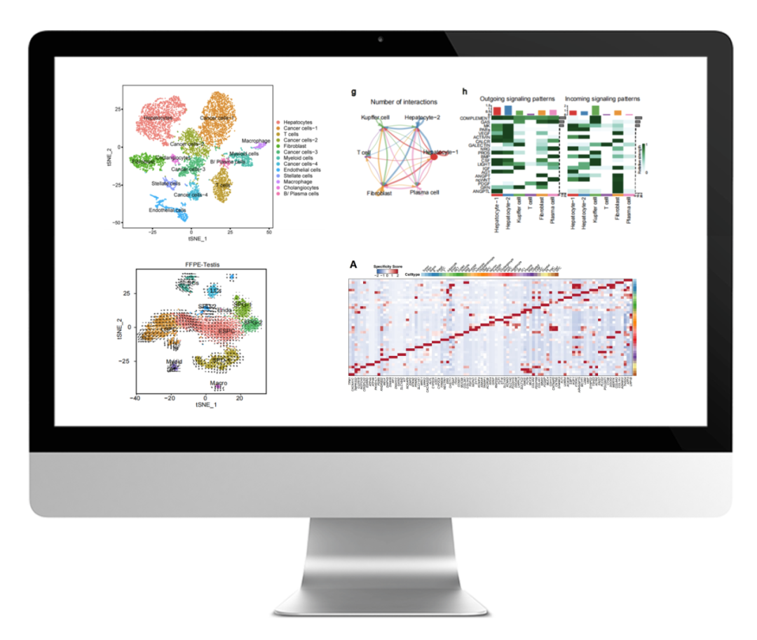 日韩欧美一区二区三区免费观看