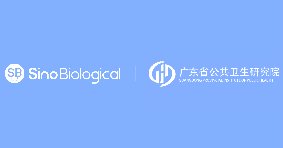 日韩欧美一区二区三区免费观看