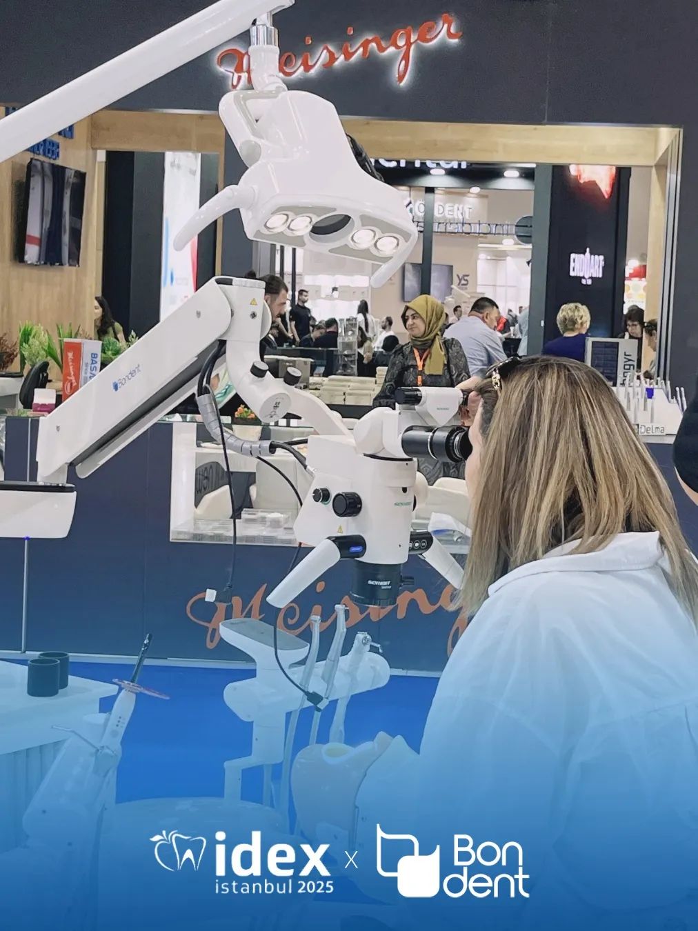 日韩欧美一区二区三区免费观看