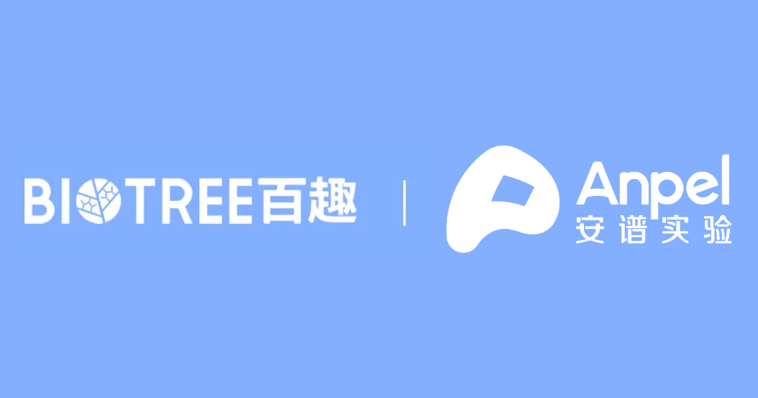 日韩欧美一区二区三区免费观看