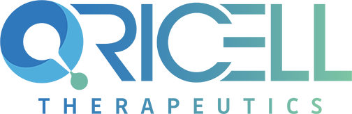 日韩欧美一区二区三区免费观看