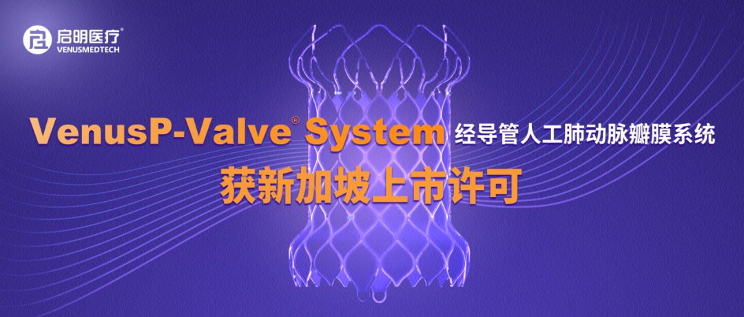 日韩欧美一区二区三区免费观看