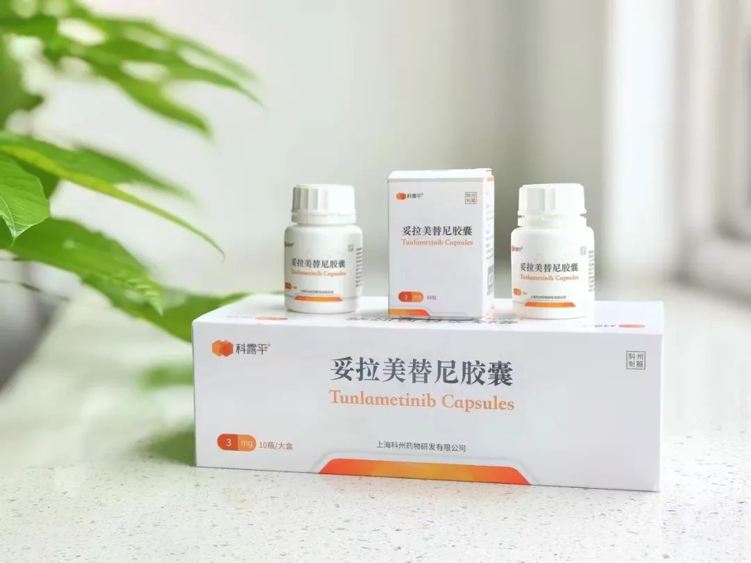 日韩欧美一区二区三区免费观看