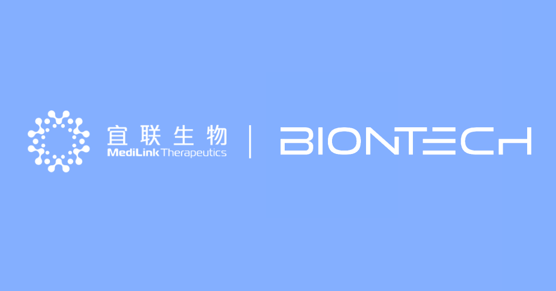 日韩欧美一区二区三区免费观看