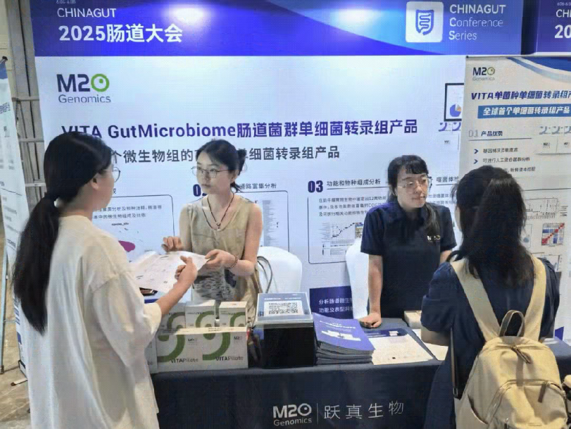 日韩欧美一区二区三区免费观看