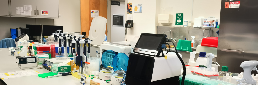 日韩欧美一区二区三区免费观看