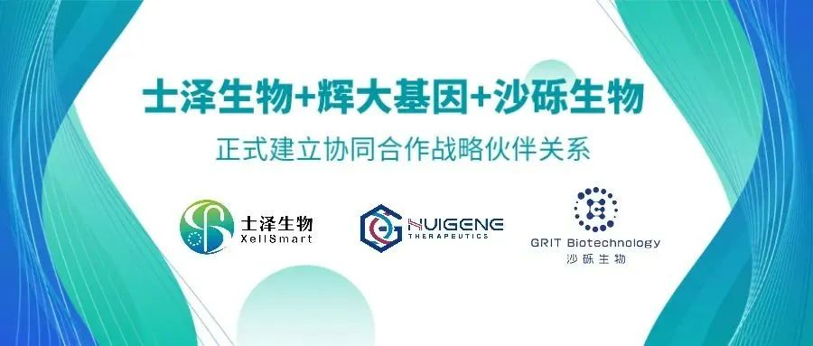 日韩欧美一区二区三区免费观看