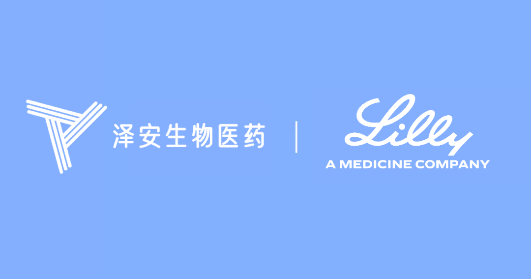 日韩欧美一区二区三区免费观看