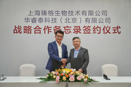 日韩欧美一区二区三区免费观看