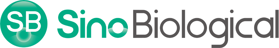 日韩欧美一区二区三区免费观看