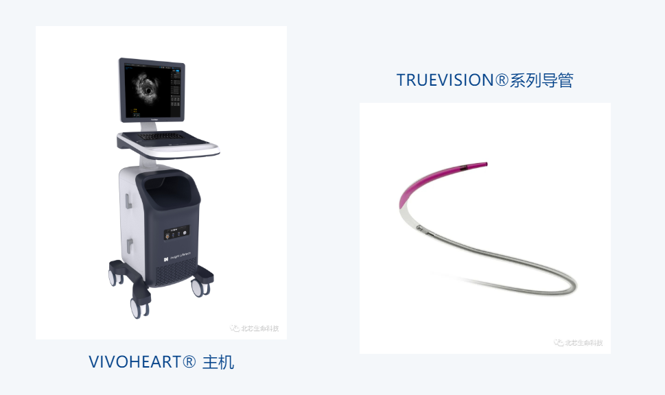 日韩欧美一区二区三区免费观看