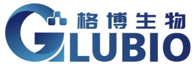 日韩欧美一区二区三区免费观看