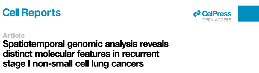 日韩欧美一区二区三区免费观看