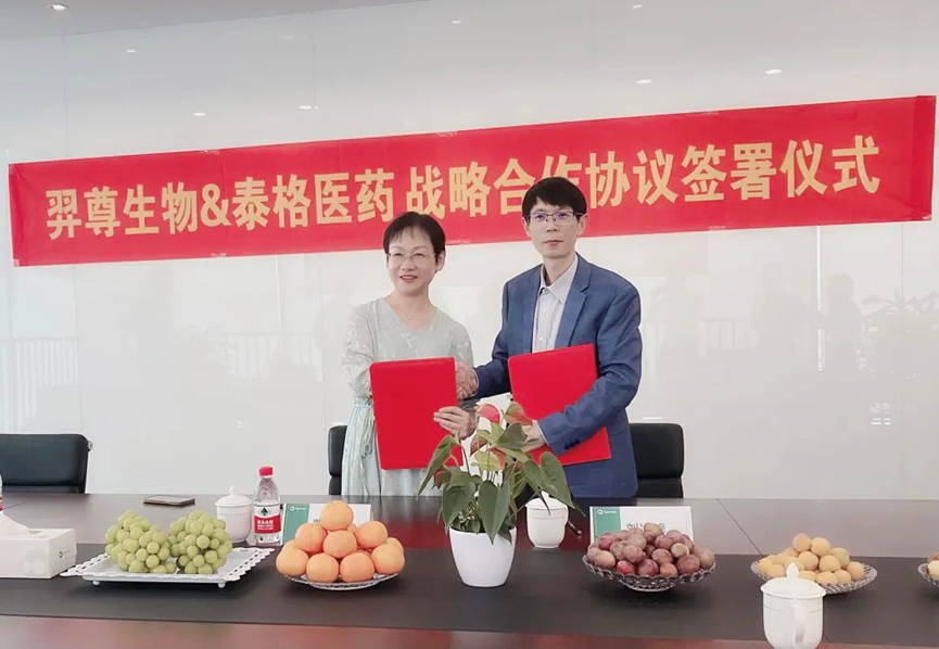 日韩欧美一区二区三区免费观看