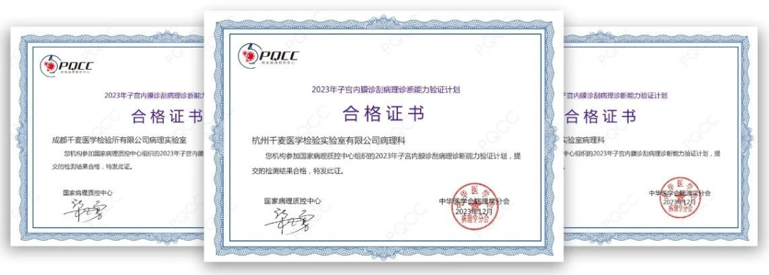 日韩欧美一区二区三区免费观看