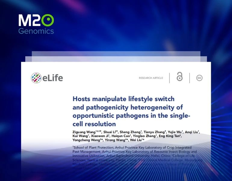 日韩欧美一区二区三区免费观看