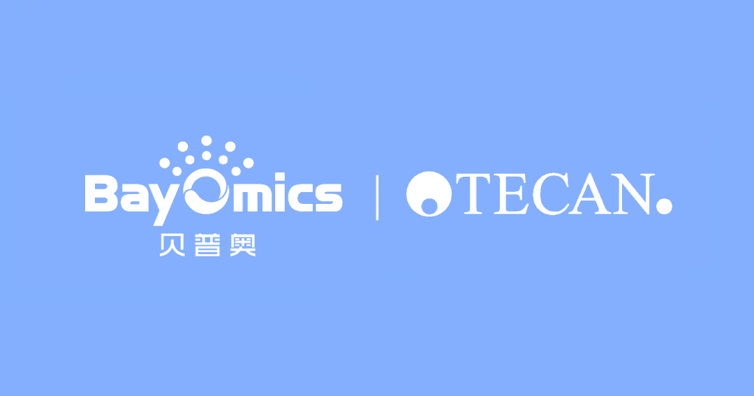 日韩欧美一区二区三区免费观看