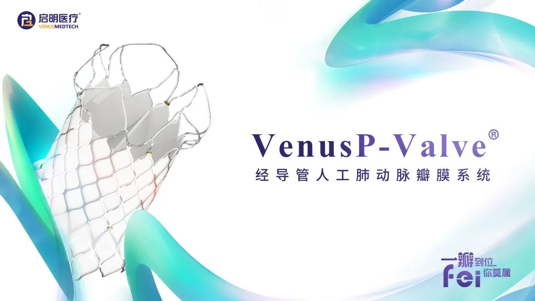 日韩欧美一区二区三区免费观看