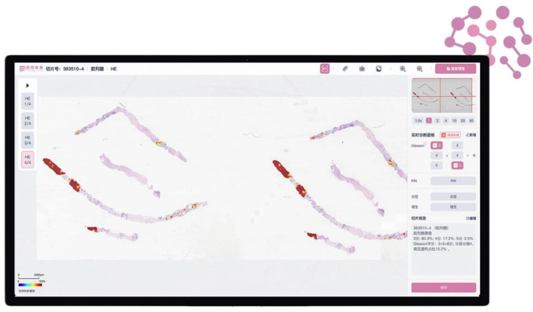 日韩欧美一区二区三区免费观看