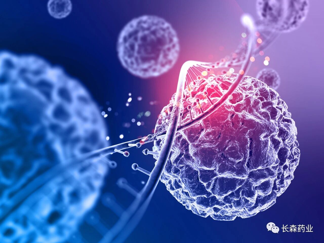 日韩欧美一区二区三区免费观看