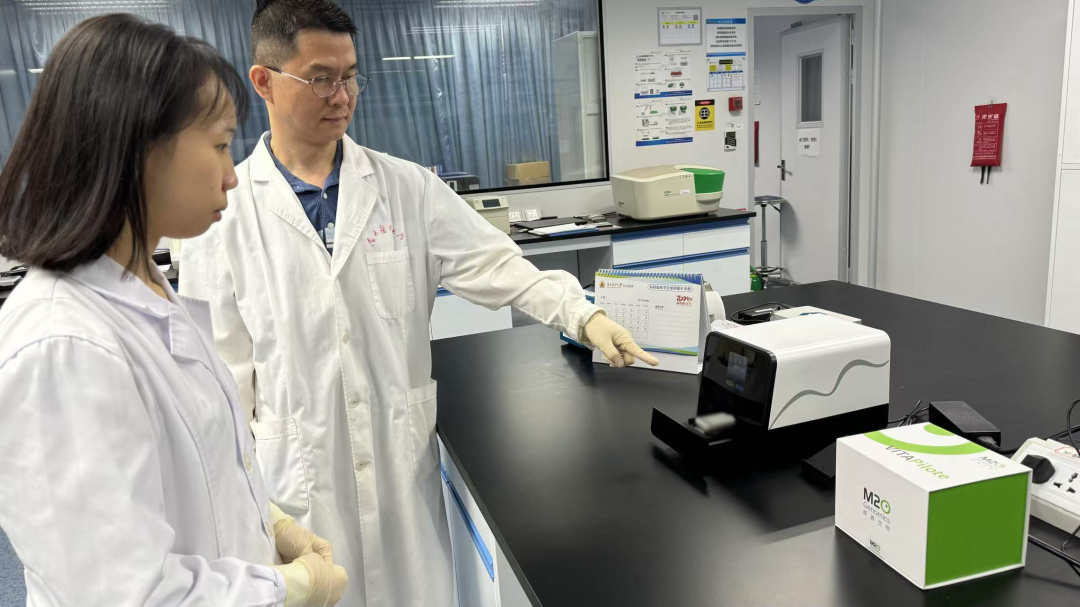 日韩欧美一区二区三区免费观看