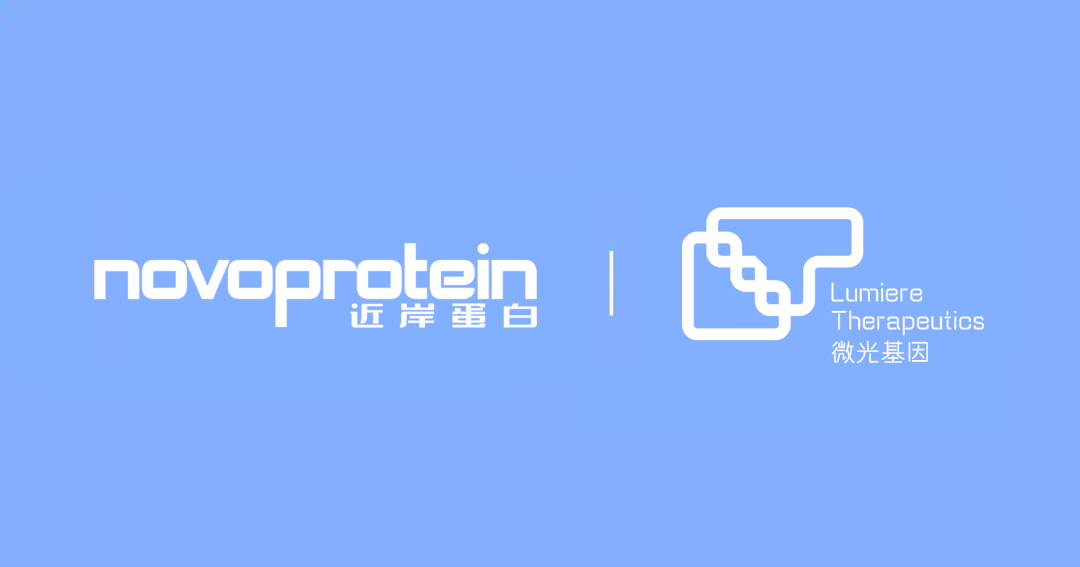 日韩欧美一区二区三区免费观看