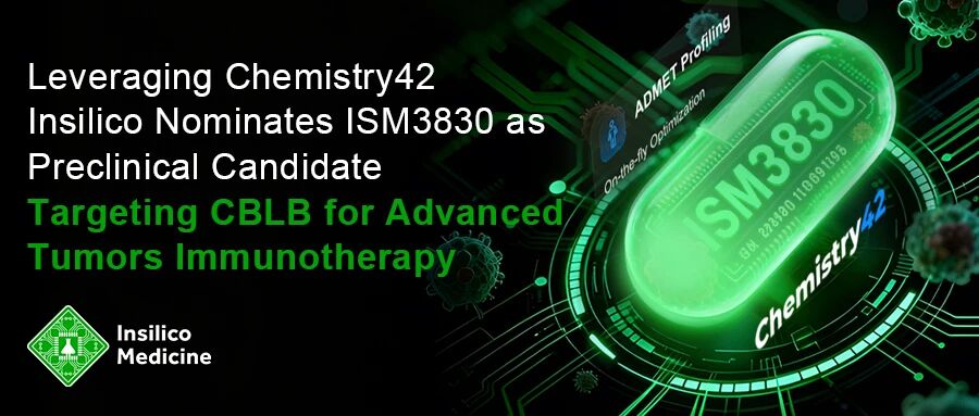 日韩欧美一区二区三区免费观看