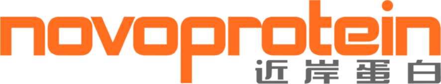 日韩欧美一区二区三区免费观看