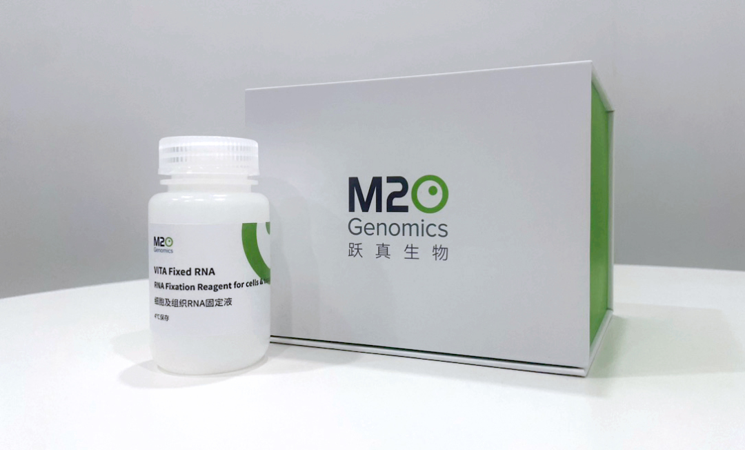 日韩欧美一区二区三区免费观看