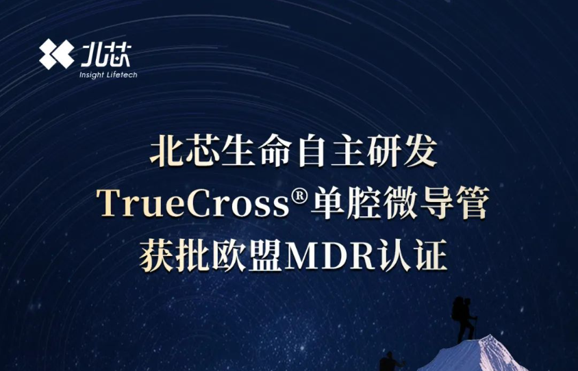 日韩欧美一区二区三区免费观看