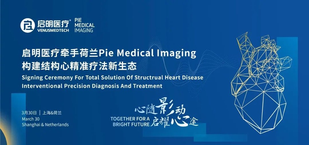 日韩欧美一区二区三区免费观看