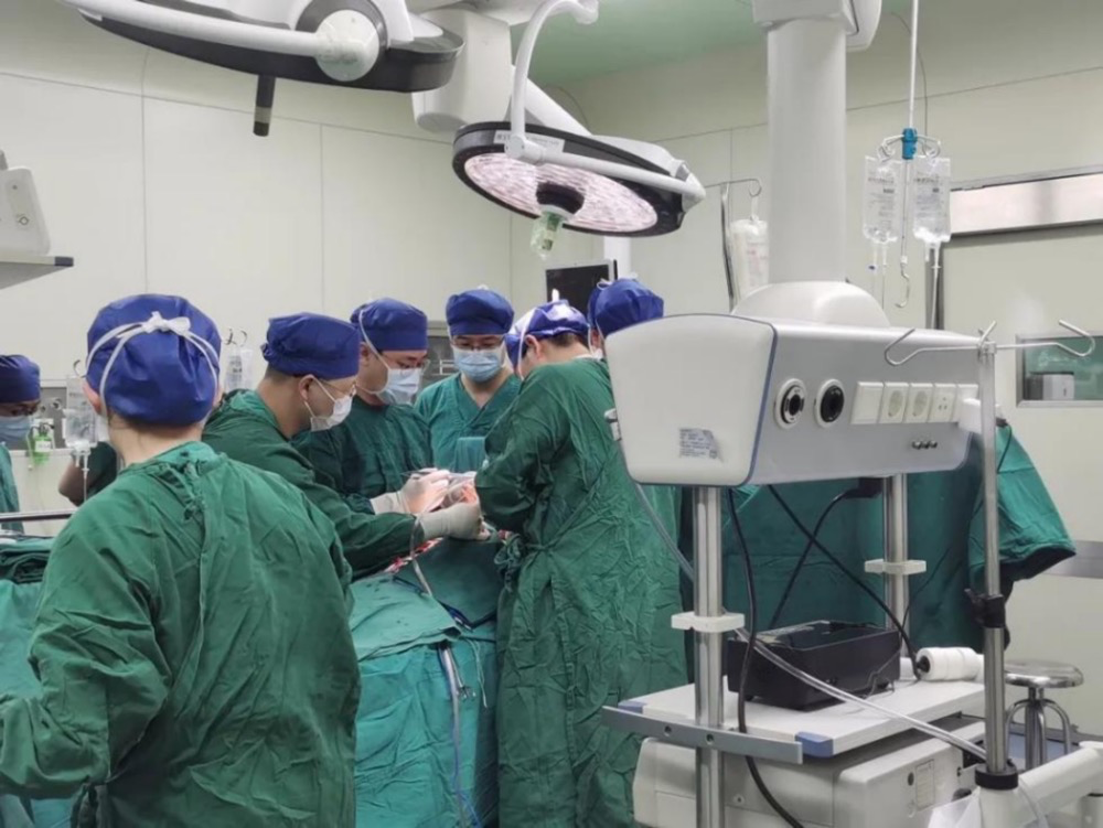 日韩欧美一区二区三区免费观看