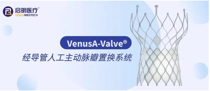 日韩欧美一区二区三区免费观看