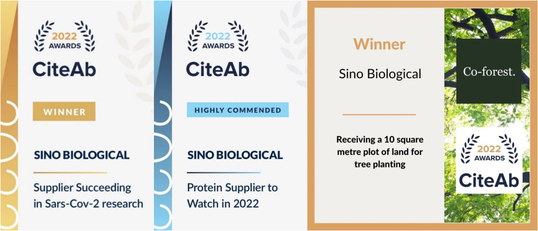 日韩欧美一区二区三区免费观看